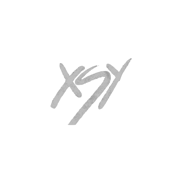 XSY Music Label logo